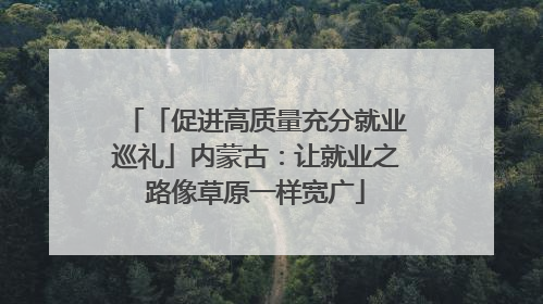 「促进高质量充分就业巡礼」内蒙古：让就业之路像草原一样宽广