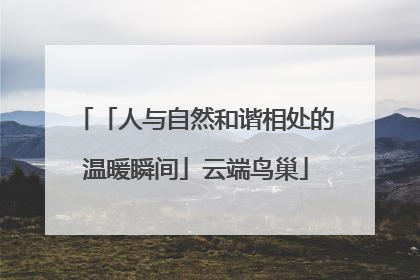 「人与自然和谐相处的温暖瞬间」云端鸟巢