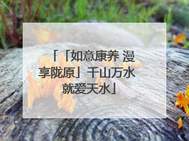 「如意康养 漫享陇原」千山万水 就爱天水