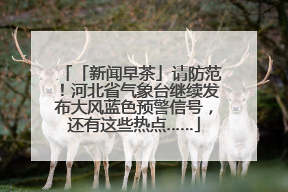 「新闻早茶」请防范！河北省气象台继续发布大风蓝色预警信号，还有这些热点……