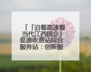 「沿着高速看当代江西国企」婺源收费站综合服务站：创新服务模式，点亮高速出行新体验
