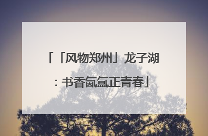 「风物郑州」龙子湖：书香氤氲正青春