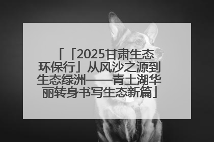 「2025甘肃生态环保行」从风沙之源到生态绿洲——青土湖华丽转身书写生态新篇
