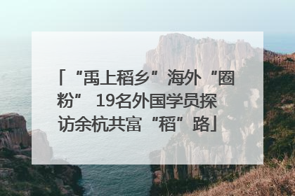 “禹上稻乡”海外“圈粉” 19名外国学员探访余杭共富“稻”路