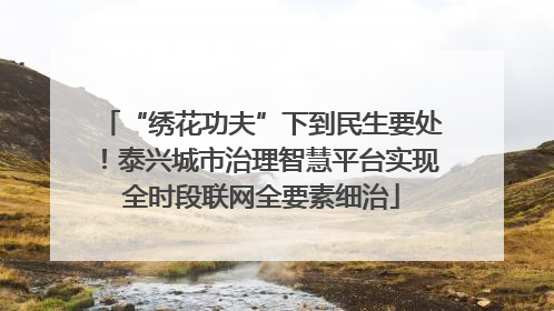 “绣花功夫”下到民生要处！泰兴城市治理智慧平台实现全时段联网全要素细治