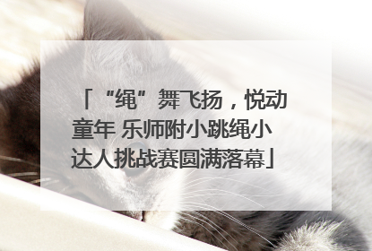 “绳”舞飞扬，悦动童年 乐师附小跳绳小达人挑战赛圆满落幕