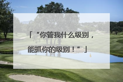 “你管我什么级别，能抓你的级别！”