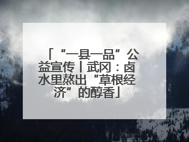 “一县一品”公益宣传丨武冈：卤水里熬出“草根经济”的醇香