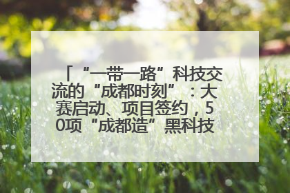 “一带一路”科技交流的“成都时刻”：大赛启动、项目签约，50项“成都造”黑科技吸引多国客商