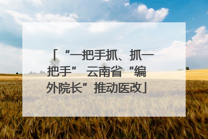 “一把手抓、抓一把手” 云南省“编外院长”推动医改