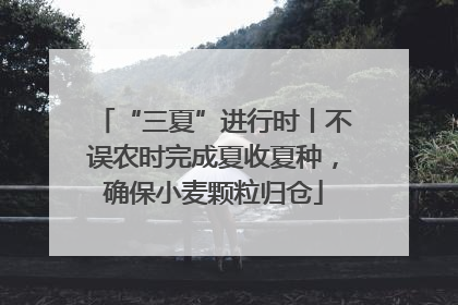 “三夏”进行时丨不误农时完成夏收夏种，确保小麦颗粒归仓