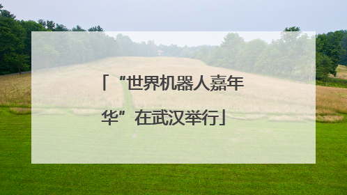 “世界机器人嘉年华”在武汉举行