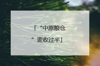 “中原粮仓”麦收过半