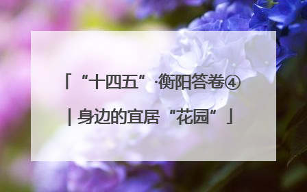 “十四五”·衡阳答卷④｜身边的宜居“花园”