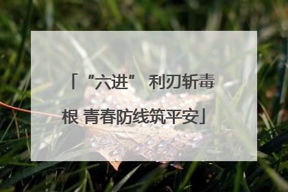 “六进” 利刃斩毒根 青春防线筑平安