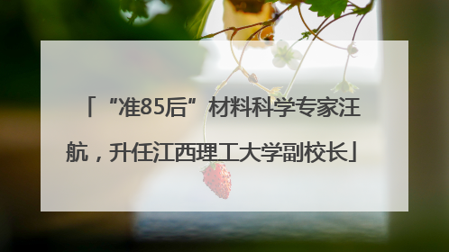 “准85后”材料科学专家汪航，升任江西理工大学副校长