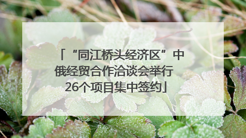 “同江桥头经济区”中俄经贸合作洽谈会举行 26个项目集中签约