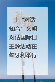 “对话·知音”文明对话国际日主题活动在匈牙利举行