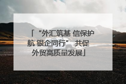 “外汇筑基 信保护航 银企同行” 共促外贸高质量发展