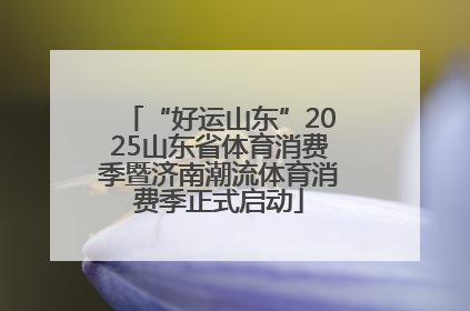 “好运山东”2025山东省体育消费季暨济南潮流体育消费季正式启动