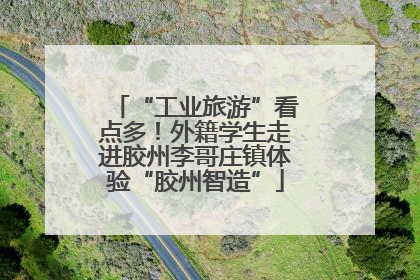 “工业旅游”看点多！外籍学生走进胶州李哥庄镇体验“胶州智造”