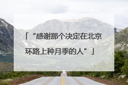 “感谢那个决定在北京环路上种月季的人”