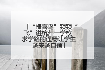 “报喜鸟”频频“飞”进杭州一学校 求学路的通畅让学生越来越自信