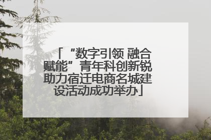 “数字引领 融合赋能”青年科创新锐助力宿迁电商名城建设活动成功举办