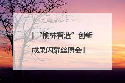 “榆林智造”创新成果闪耀丝博会
