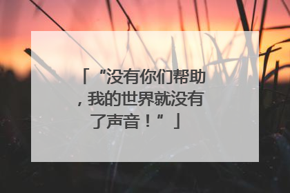 “没有你们帮助，我的世界就没有了声音！”