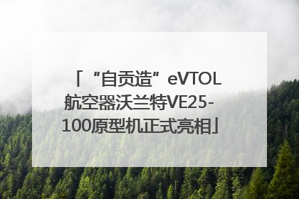 “自贡造”eVTOL航空器沃兰特VE25-100原型机正式亮相