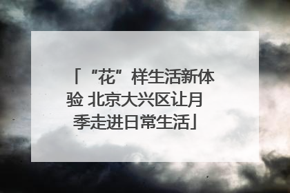 “花”样生活新体验 北京大兴区让月季走进日常生活