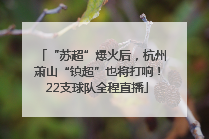 “苏超”爆火后，杭州萧山“镇超”也将打响！22支球队全程直播