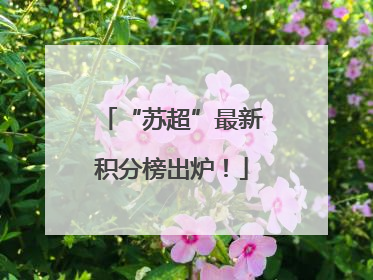 “苏超”最新积分榜出炉！