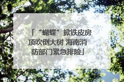 “蝴蝶”掀铁皮房顶吹倒大树 海南消防部门紧急排险