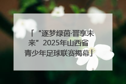 “逐梦绿茵·晋享未来”2025年山西省青少年足球联赛揭幕