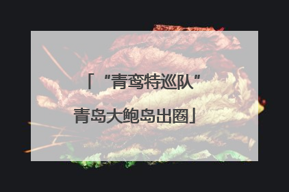 “青鸾特巡队”青岛大鲍岛出圈