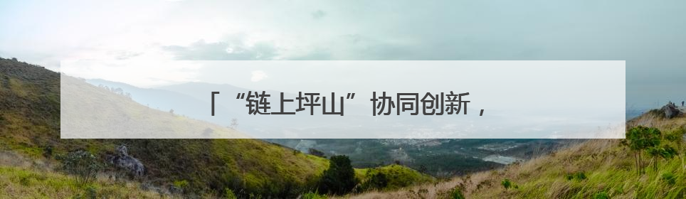 “链上坪山”协同创新，为企业发展充“储”未来