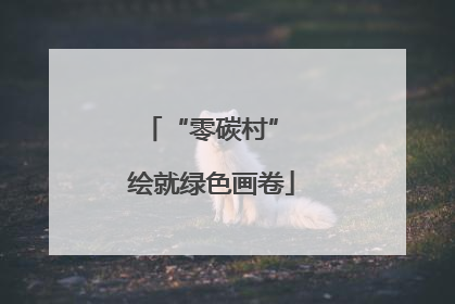 “零碳村” 绘就绿色画卷