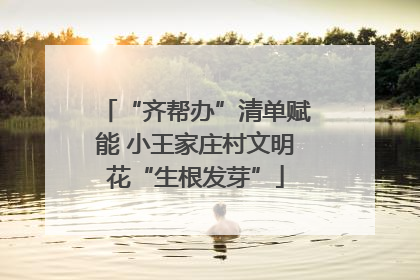 “齐帮办”清单赋能 小王家庄村文明花“生根发芽”