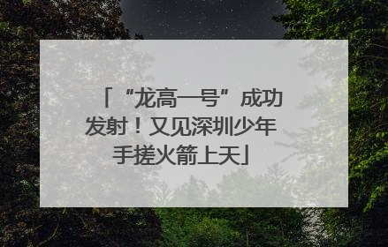 “龙高一号”成功发射！又见深圳少年手搓火箭上天
