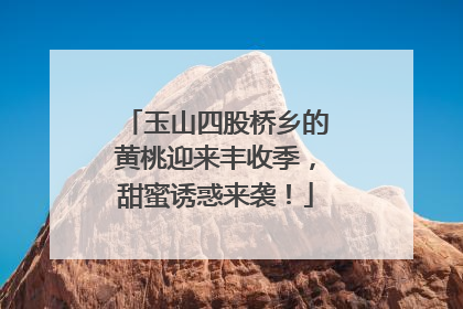 玉山四股桥乡的黄桃迎来丰收季，甜蜜诱惑来袭！