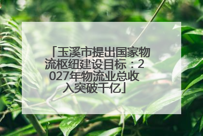 玉溪市提出国家物流枢纽建设目标：2027年物流业总收入突破千亿