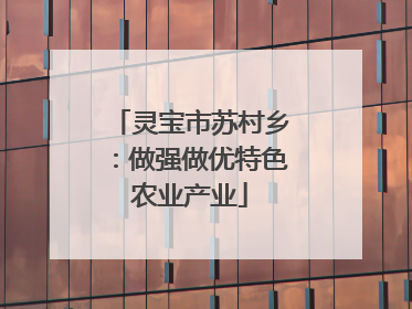 灵宝市苏村乡：做强做优特色农业产业
