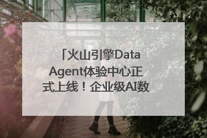 火山引擎Data Agent体验中心正式上线！企业级AI数据专家触手可及