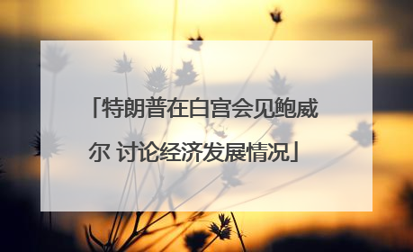 特朗普在白宫会见鲍威尔 讨论经济发展情况