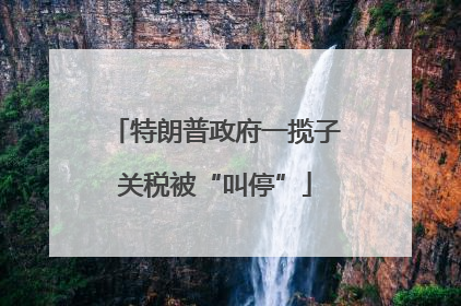 特朗普政府一揽子关税被“叫停”