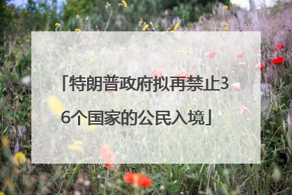 特朗普政府拟再禁止36个国家的公民入境
