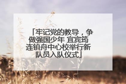 牢记党的教导，争做强国少年 宜宾筠连镇舟中心校举行新队员入队仪式