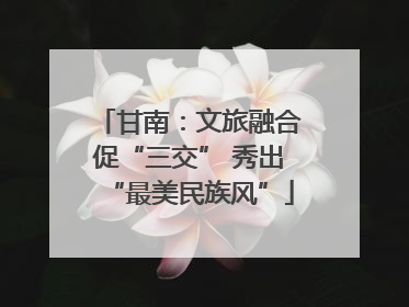 甘南：文旅融合促“三交” 秀出“最美民族风”